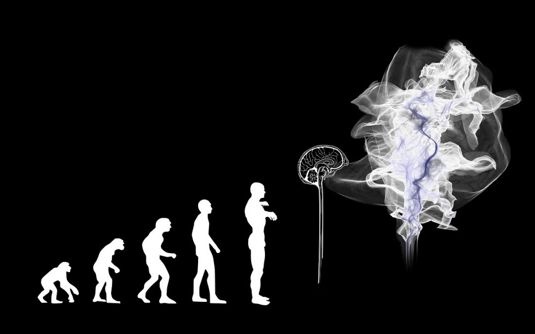 evolution, artificial intelligence, content und KI, brain